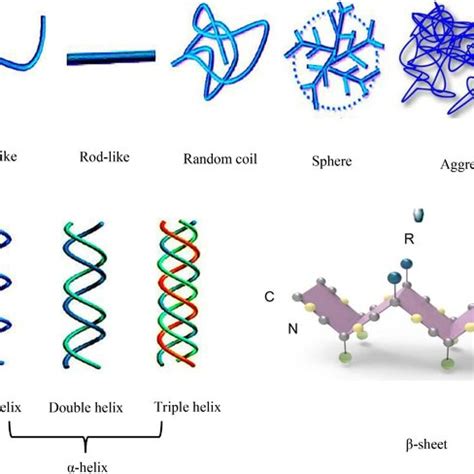 refractometer polysaccharides|A narrative review on conformational structure .